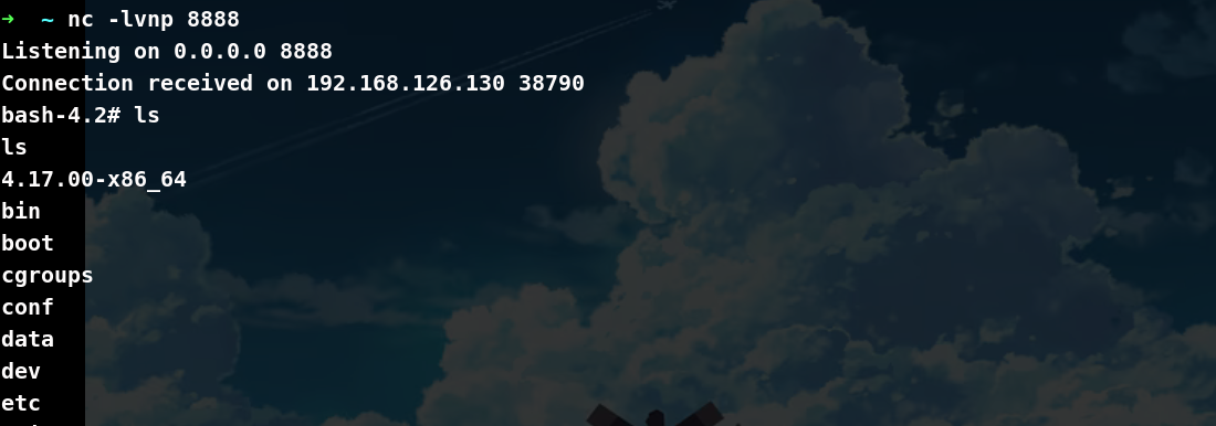 image-20260519141708896